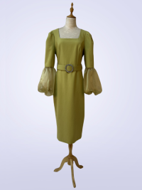 Dress yw-25091