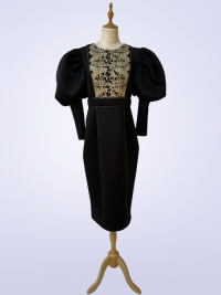 Dress yw-24152